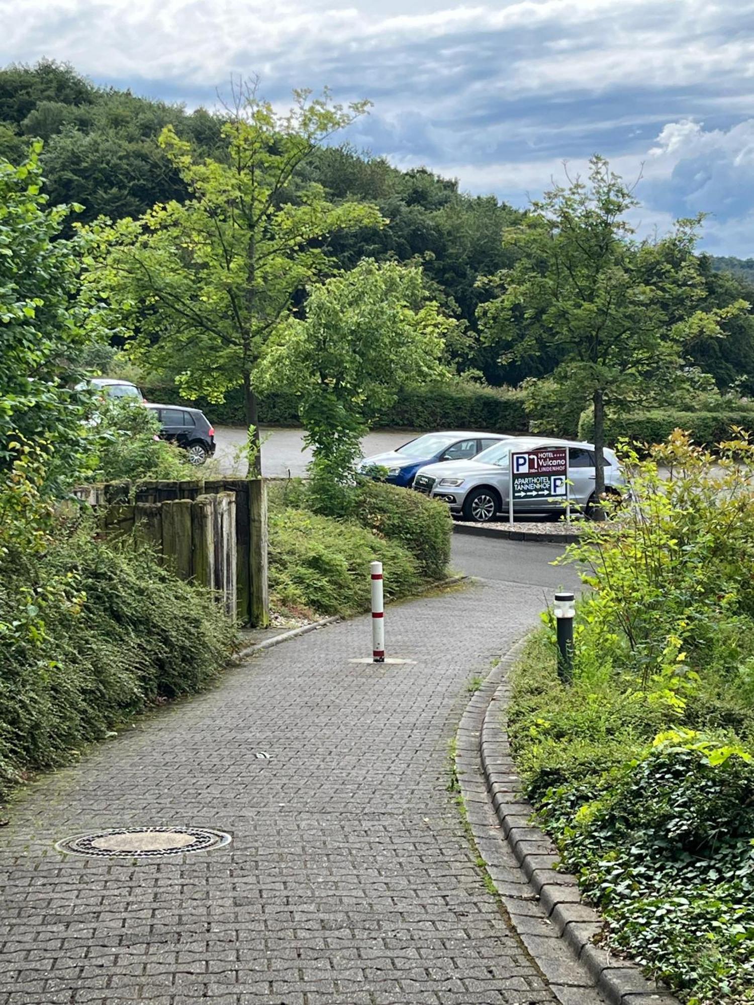 Aparthotel Tannenhof Wittlich Buitenkant foto